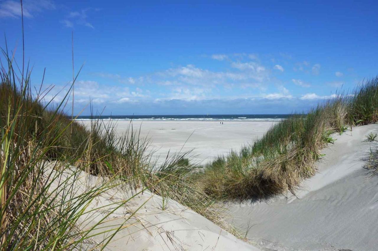 فيلا Camping Oase, Zanddijk 75 جوليانادورب المظهر الخارجي الصورة